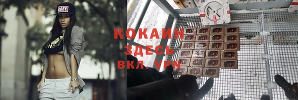 каннабис Новочеркасск