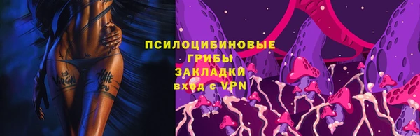 дурь Алексеевка