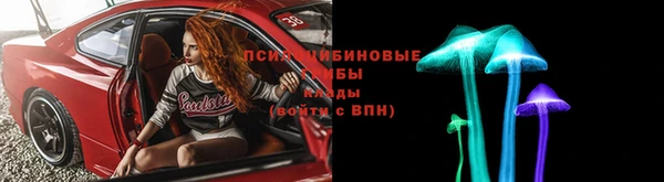 дурь Алексеевка