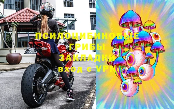 apvp Алексин